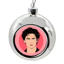 ΧΡΙΣΤΟΥΓΕΝΝΙΑΤΙΚΗ ΜΠΑΛΑ: TIMOTHÉE CHALAMET