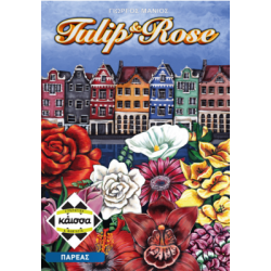 TULIP   ROSE - KA113940
