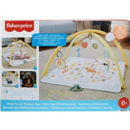 FISHER-PRICE - SIMPLY SENSES ΓΥΜΝΑΣΤΗΡΙΟ - ΟΙ ΠΡΩΤΕΣ ΤΟΥ ΑΙΣΘΗΣΕΙΣ - HRB15